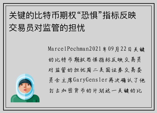 关键的比特币期权“恐惧”指标反映交易员对监管的担忧 